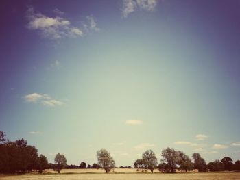 Trees on field against sky