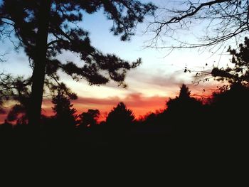 Silhouette trees in forest against sky at sunset