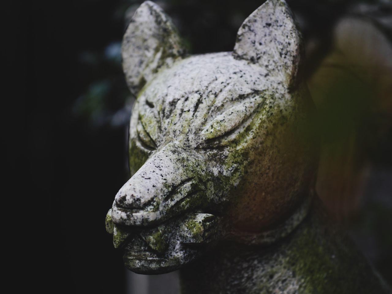 close-up, focus on foreground, statue, tree, textured, sculpture, tree trunk, human representation, nature, outdoors, low angle view, no people, day, art and craft, rough, art, selective focus, growth, branch, creativity