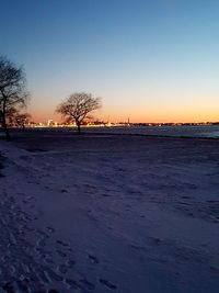 Scenic view of bare trees against clear sky during sunset