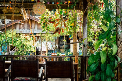 Potted plants on table in restaurant