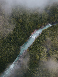High angle view of river flowing amidst trees in forest