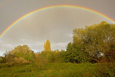 Scenic view of rainbow against sky