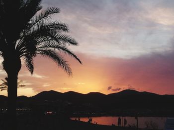 Silhouette palm tree by sea against sky during sunset