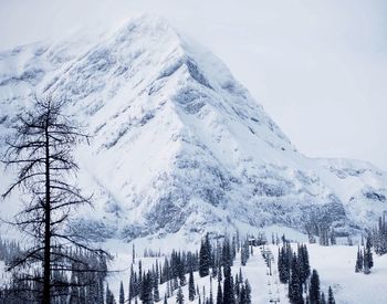 Scenic view of snow covered mountains against sky