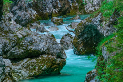 Scenic view of the beautifull river soca in triglav national park.