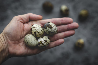 Fresh quail eggs in woman's hands on gray background from view