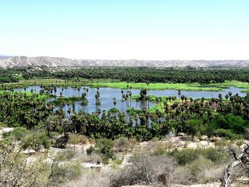 Scenic view of lake against clear sky