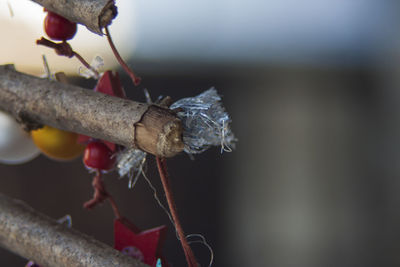 Close-up of rusty metal