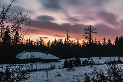 Scenic view of landscape against cloudy sky