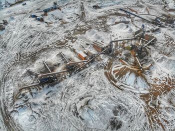 High angle view of fish on snow