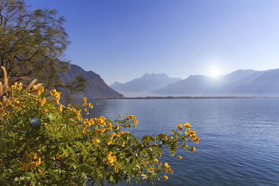 Scenic view of lake against blue sky