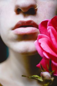 Close-up of pink rose