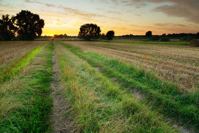 Dirt road between fields and the sunset sky