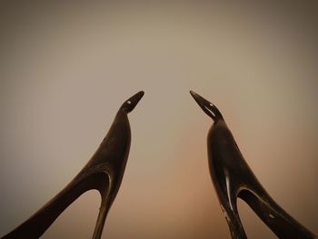 Low angle view of birds perching on wall