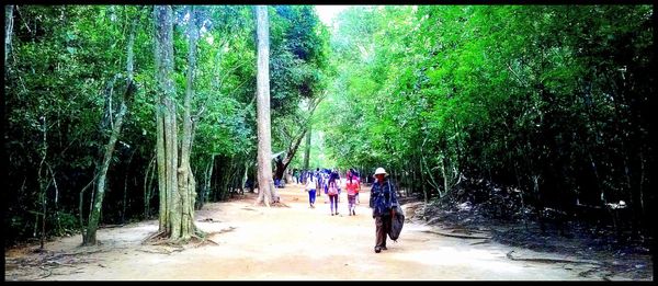 People walking on road amidst trees