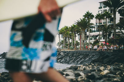 Close-up of palm trees on beach