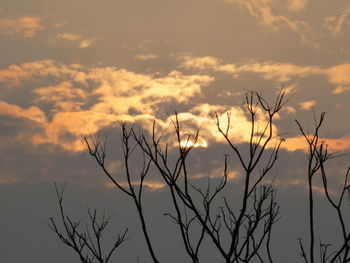 Silhouette bare tree against sky during sunset