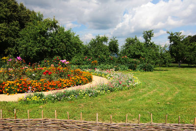 View of flowering plants and trees in garden