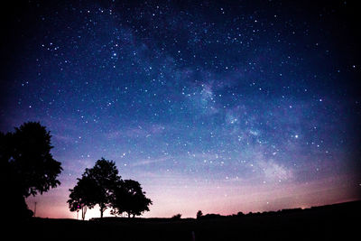 Silhouette trees against sky at night