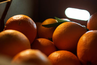 Close-up of oranges