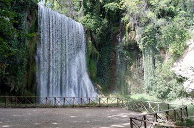 Scenic view of waterfall in forest