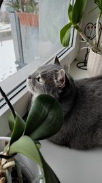 Close-up of squirrel