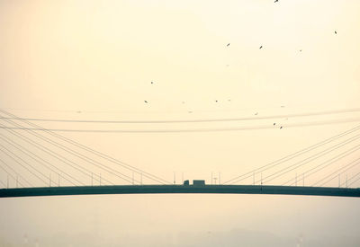 Low angle view of birds in flight