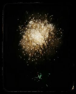 Firework display at night