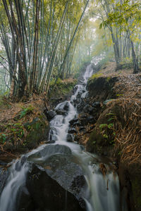 Stream flowing through rocks in forest