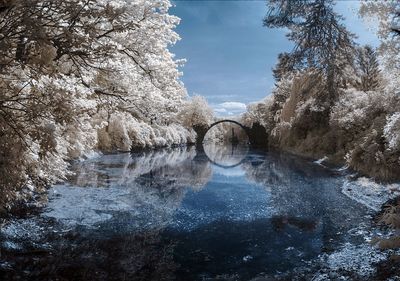 River amidst trees against sky