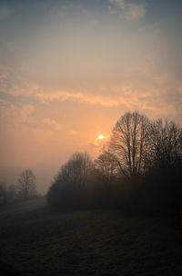 Bare trees on landscape at sunset