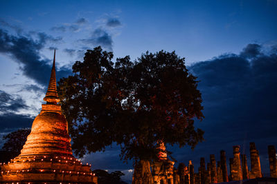 Low angle view of trees and buildings at night