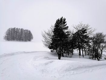 Trees on snow covered field against sky