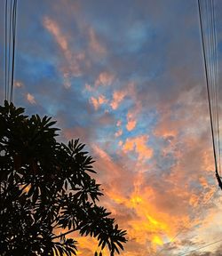 Low angle view of silhouette palm trees against dramatic sky