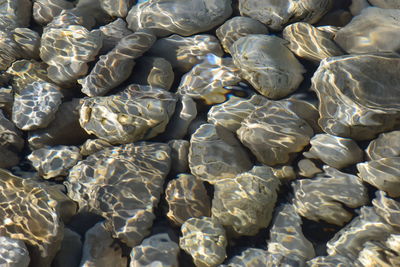 Full frame shot of pebbles