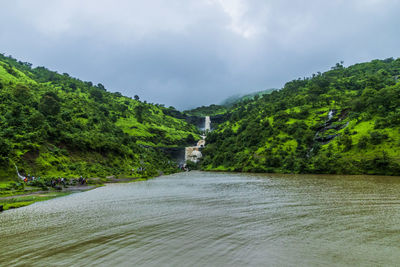 Scenic view of river amidst trees against sky