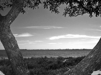 Scenic view of grassy field against sky