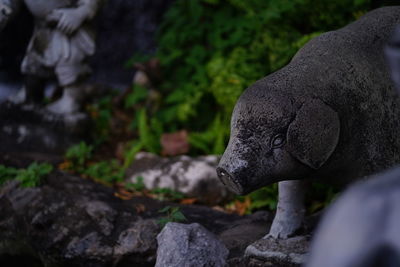 Close-up of statue against rock