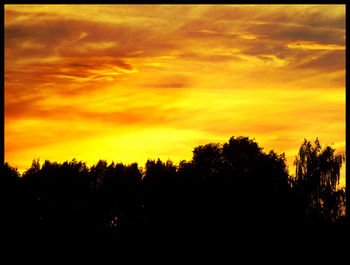 Silhouette of trees at sunset