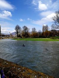 Birds flying over lake