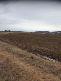 Scenic view of field against sky