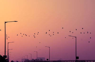 Low angle view of birds flying in sky