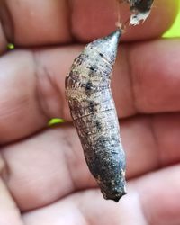 Close-up of hand holding cigarette