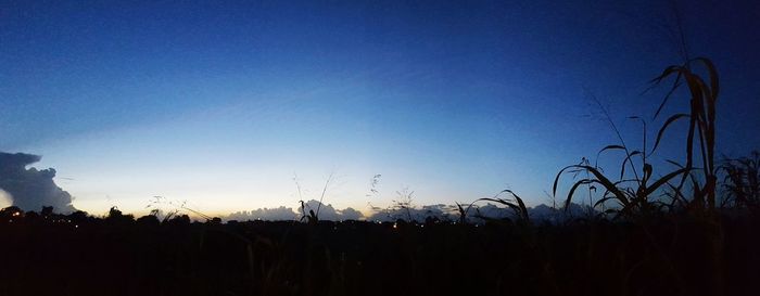 Low angle view of silhouette trees against sky at sunset