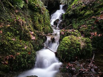 Waterfall in forest