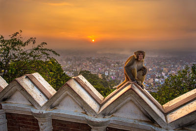 Statue against sky during sunset