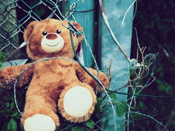 Close-up of teddy bear on fence