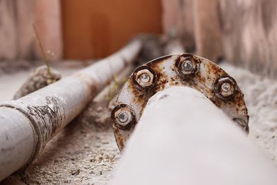 Close-up of rusty water pipe