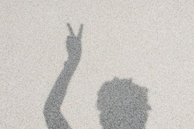 Shadow of person on sand at beach